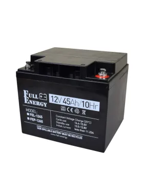 Акумулятор Full Energy FEP-1245 12В 45 А·год (AGM)