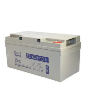 Аккумулятор Full Energy FEL-1265 (GEL) 12V 65Ah